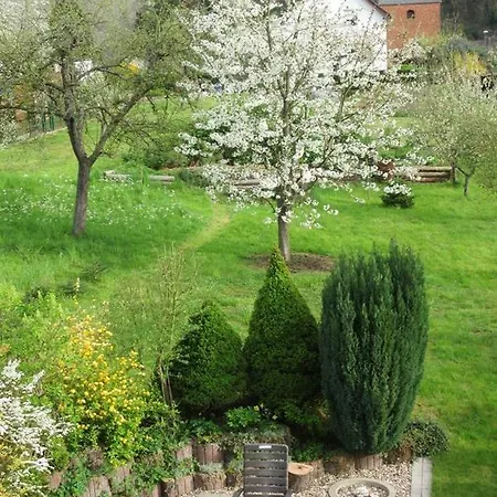 Apartament Wilhelmi