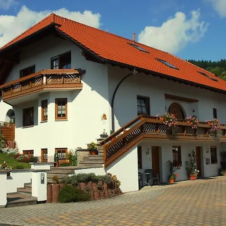 Wilhelmi * 사르부르크