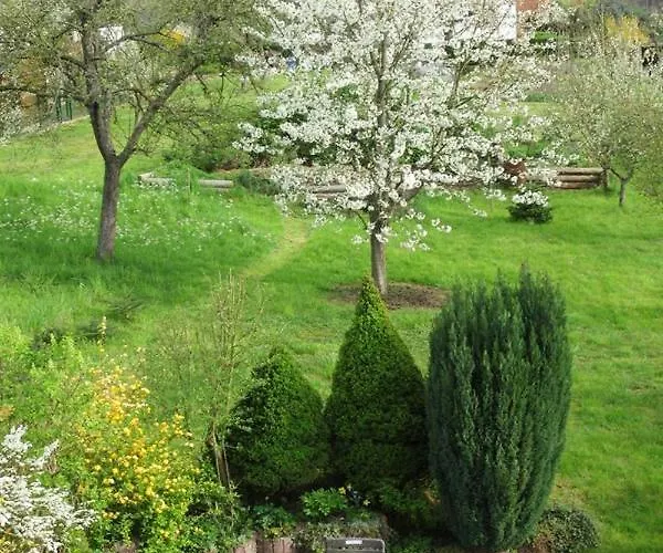 Διαμέρισμα Wilhelmi